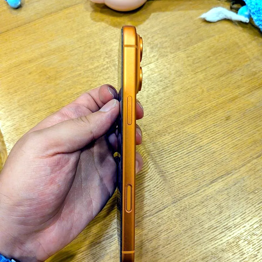 iPhone 17 Pro Max 256 GB Orange
