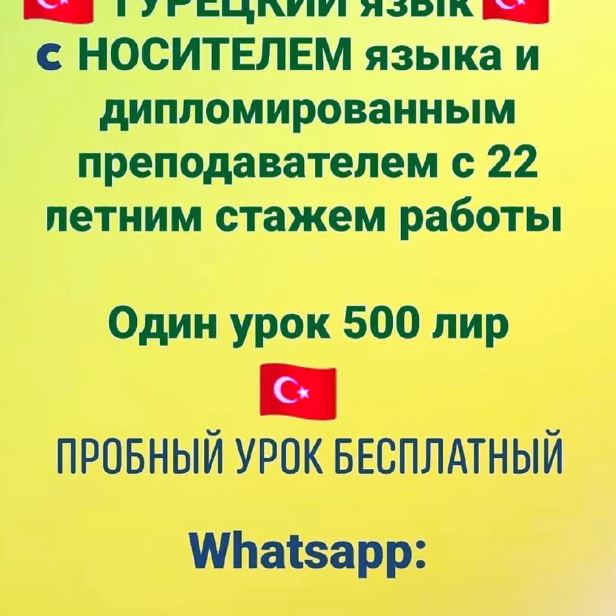 Занятие с носителем языка